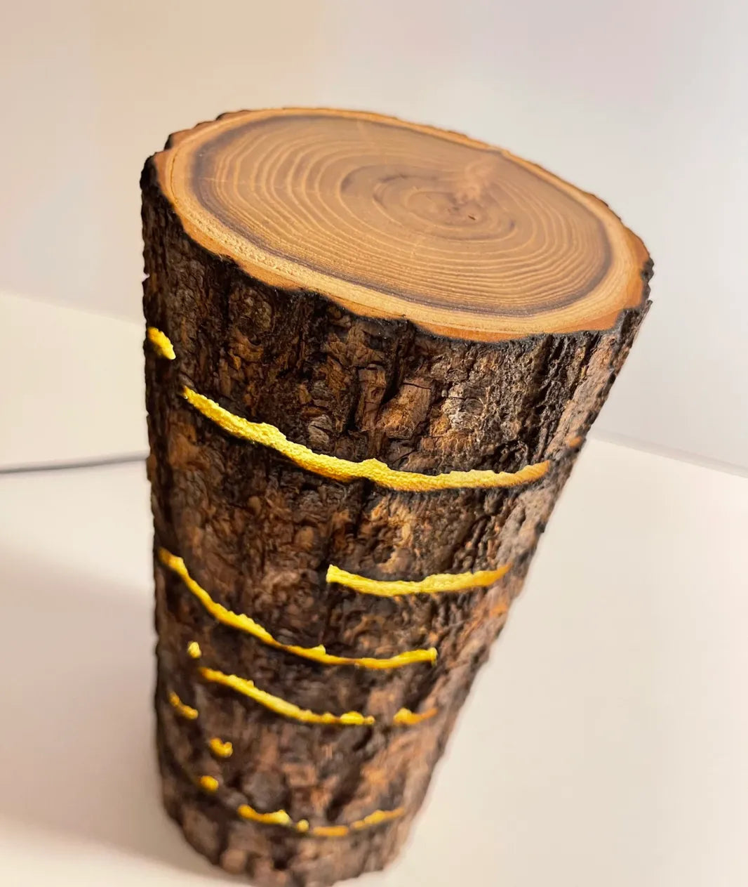 Glowing  Log Wooden Lamp