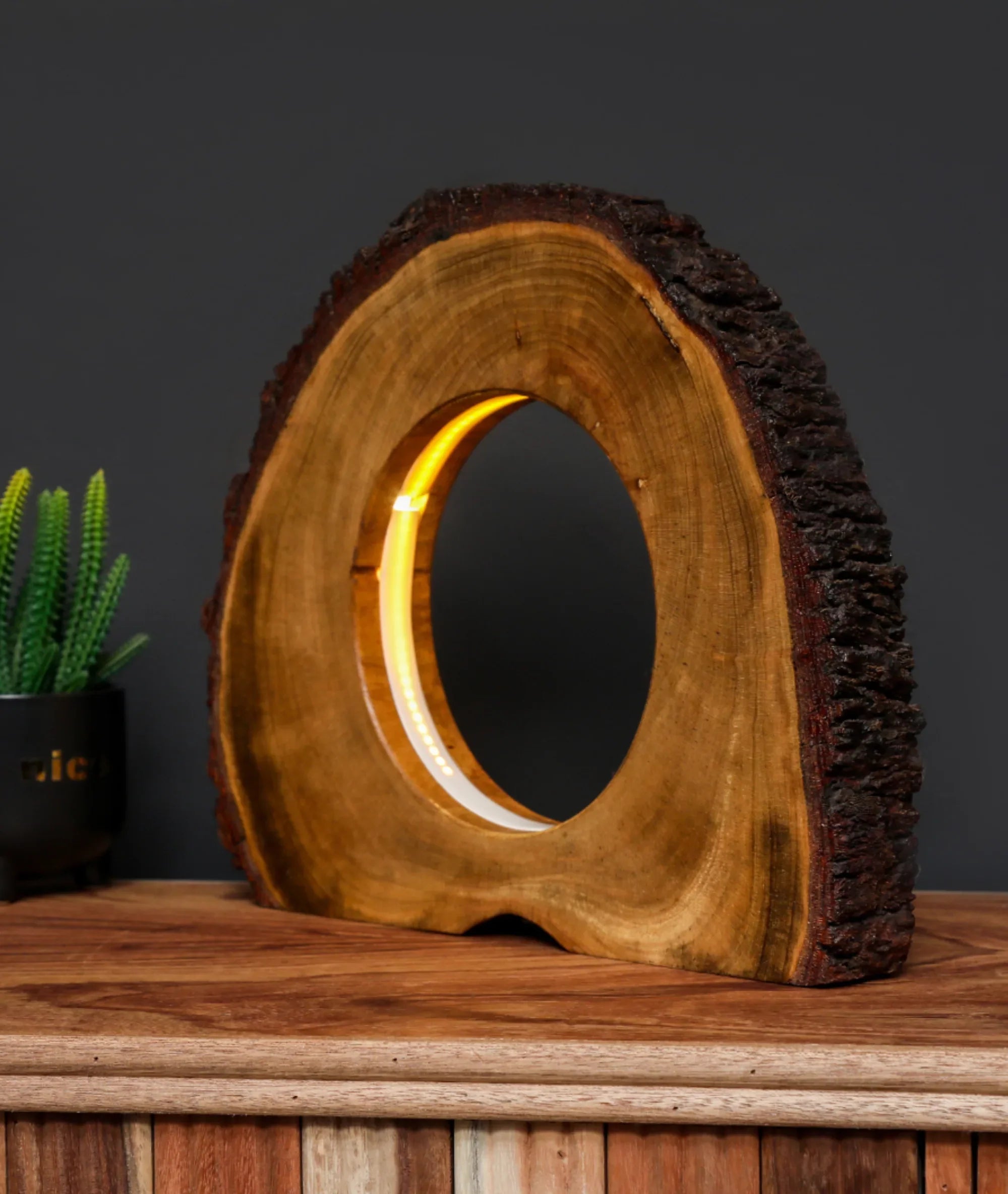 Rare Found Round Wooden Hollow Log Light Table Lamp
